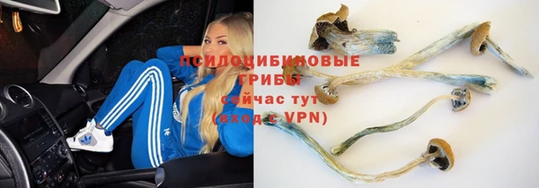 ГАЛЛЮЦИНОГЕННЫЕ ГРИБЫ Абинск
