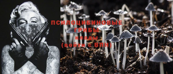 ГАЛЛЮЦИНОГЕННЫЕ ГРИБЫ Абинск