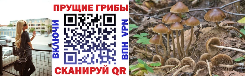 Псилоцибиновые грибы мухоморы  это какой сайт  Хабаровск  даркнет сайт 