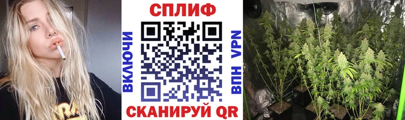 где продают наркотики  Хабаровск  MEGA вход  Конопля White Widow 